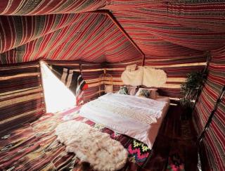 layali camp - Bidiyah - 0