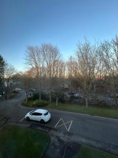 Bromford mere, Solihull - Solihull - 1