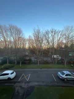 Bromford mere, Solihull - Solihull - 2