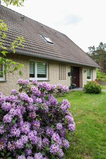 Ferienwohnung Roswitha - Hademstorf - 9