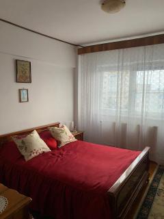 Apartament Ioana - Braşov - 1