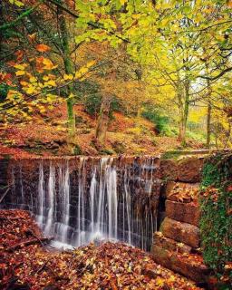Luxury Village Cottage on doorstep of Alton Towers - Alton - 4