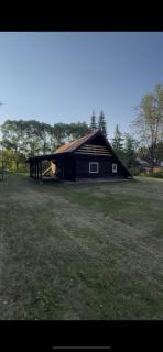 Forest Haven - Văleni - 4