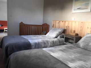 L 'esprit Loft - Montreuil-sur-Maine - 3