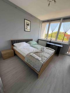 Central Apartman Szeged - Szeged - 3