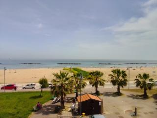 Monlocale al mare con terrazza privata - 3