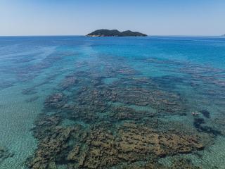 Tortuga Dafni Bay Villas Diver's Paradise by "elite" - Vasilikos - 5