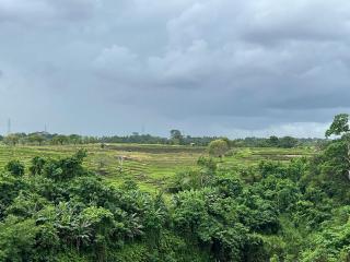 Three Bedrooms Villa with Pool & Rice Field View - Munggu - 5