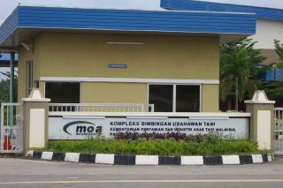 Basrie Roomstay Pagoh - Pagoh - 1