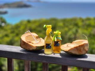 Villa Davina - Dreamy escape, sea view in St Barth - Saint Barthelemy - 2