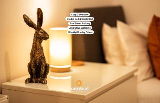 Central Serviced Apartments - INFO Only Listing - CONTACT US FOR LONG TERM STAYS AT CENTRAL SHORT LETS - 30 PLUS PROPERTIES AVAILABLE - Dundee - 7