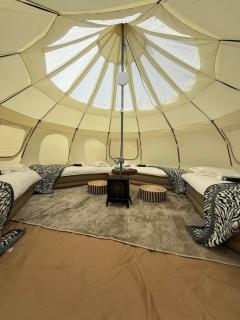 Tosontsengel Glamping Tents - - 8