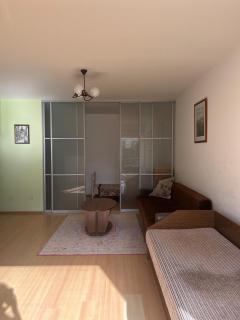 Cozy apartment near Santariskes - Vilnius - 5