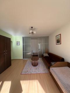 Cozy apartment near Santariskes - Vilnius - 2