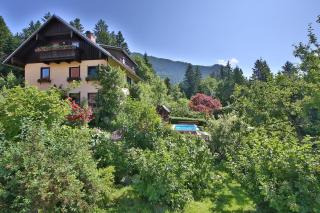 Lammerauhof - Abtenau - 0