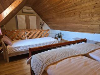 Apartments Max - Biró Tours nr 46 - Vonyarcvashegy - 8