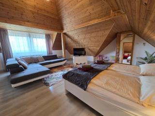 Apartments Max - Biró Tours nr 46 - Vonyarcvashegy - 5