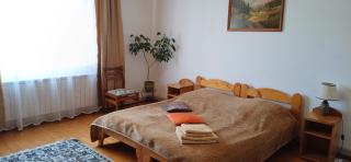 Slagora Apartment - Yaremche - 6