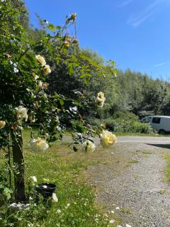 Cozy ground floor apartment in nature, by driving 300 metres of gravel road on top of the hill - Lunde - 7