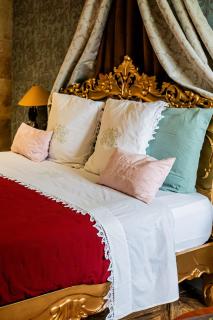Chateau des Perichons - Poncins - 5