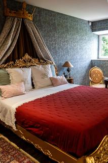 Chateau des Perichons - Poncins - 4