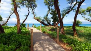 The Westin Nanea Ocean Villas 1BR Apartment with Resort Access - 5