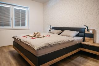 Holiday Home Kamence - Rogaška Slatina - 7