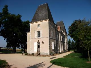 Le Chateau De Bellevue - Sainte-Cécile - 0
