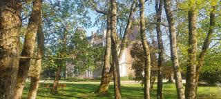 Le Chateau De Bellevue - Sainte-Cécile - 8