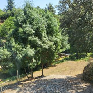 Apartamento Terra das Amendoeiras - Bragança - 9