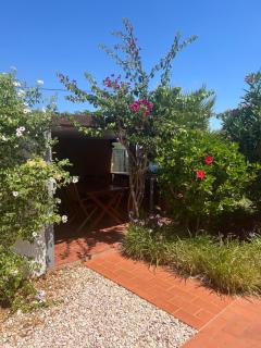 Quinta das Amendoeiras B&B - Nora - 5