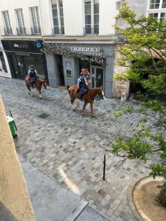 Ecrin Des rosiers - 0