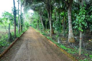 Phalguni Farm Stay - Nanjangūd - 3