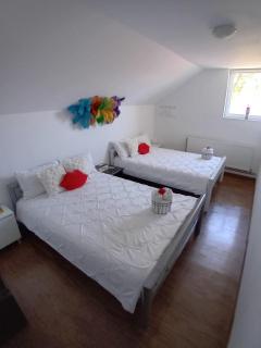 Camere de închiriat Trandafirilor - 5