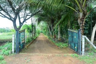 Phalguni Farm Stay - Nanjangūd - 9