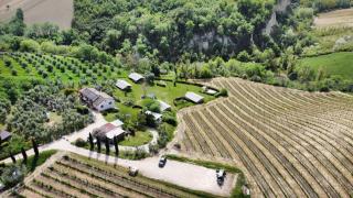 Agriturismo Angeli Sognanti - Cossignano - 7