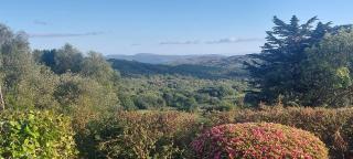Mo's Cottage - - 2