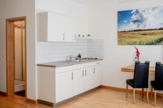 Hotel Donau-Ries - Mertingen - 1