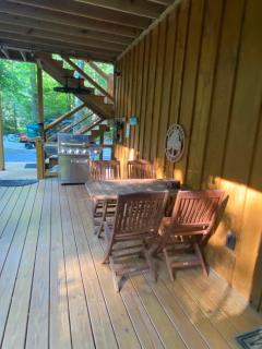 Beech Creek Cabin, Black Mountain - Black Mountain - 1