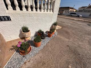 Peaceful Stay in Sunny Alicante - 4