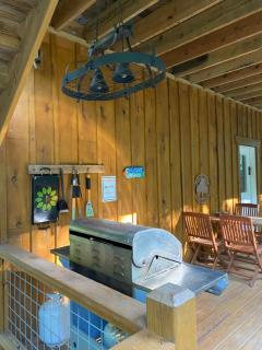 Beech Creek Cabin, lower unit, Black Mountain - 4