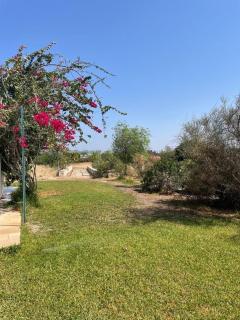Villa Anna - - 7