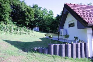 Villa with hot tubes, saunas & pool - Lendava - 8
