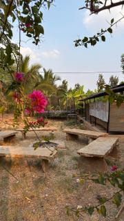 The Lilac Farm - Sāslu - 1