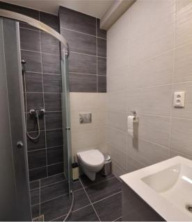 Ubytovanie TB blízko Bojníc, v Prievidzi - 9