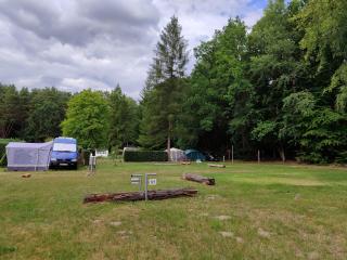 !Nur Stellplatz! Wohnwagen- & Mobil und Zelt Stellplatz "121", an der Mecklenburger Seenplatte - 8