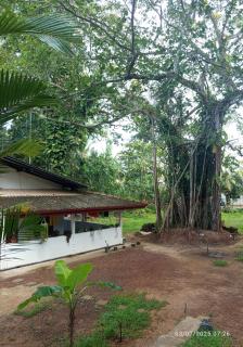 Nona amma villa - Beruwala - 5