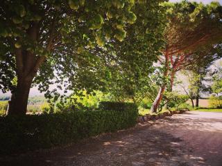 Gîte au coeur d'un domaine viticole - Beaumont-sur-Lèze - 2