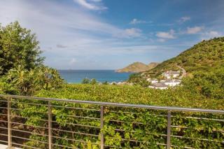 Villa Mas • Garden Path to Beach - Anse des Flamands - 8