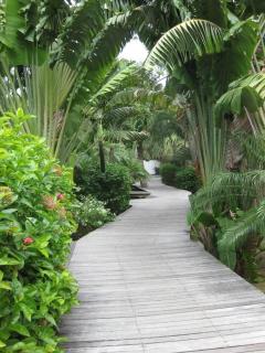 Villa Mas • Garden Path to Beach - 5